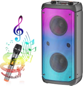 Professional Battery Speaker 17000W