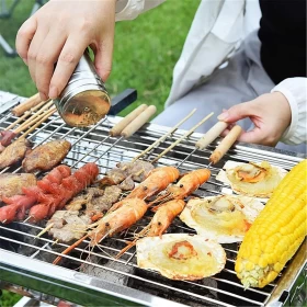 Stainless Steel Charcoal Grill  Portable Folding BBQ